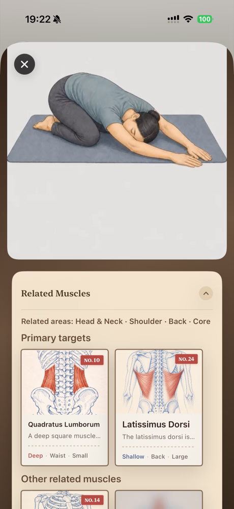 Child’s pose and its related muscle cards